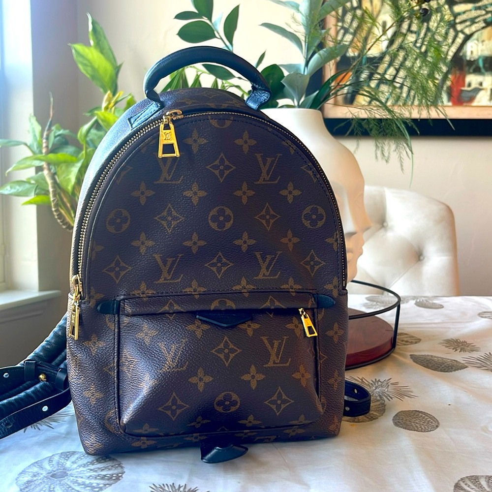 Louis Vuitton Palm spring pm backpack